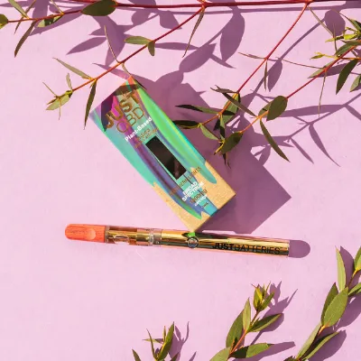 1000mg CBD Vape Cartridges | Northern Lights | 1ml