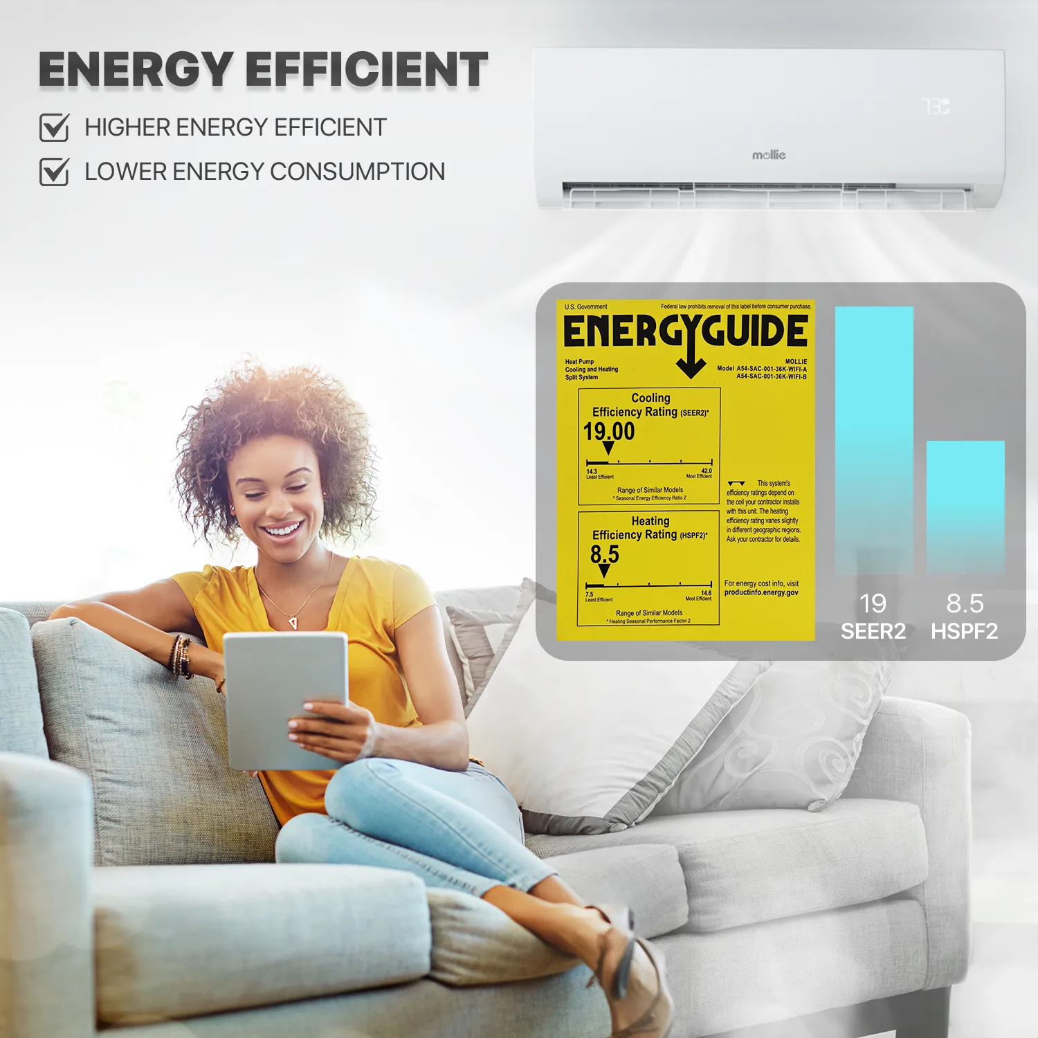 36000 BTU Split Air Conditioner - Cooling & Heating Function- WIFI APP Control - 4-in-1 filter