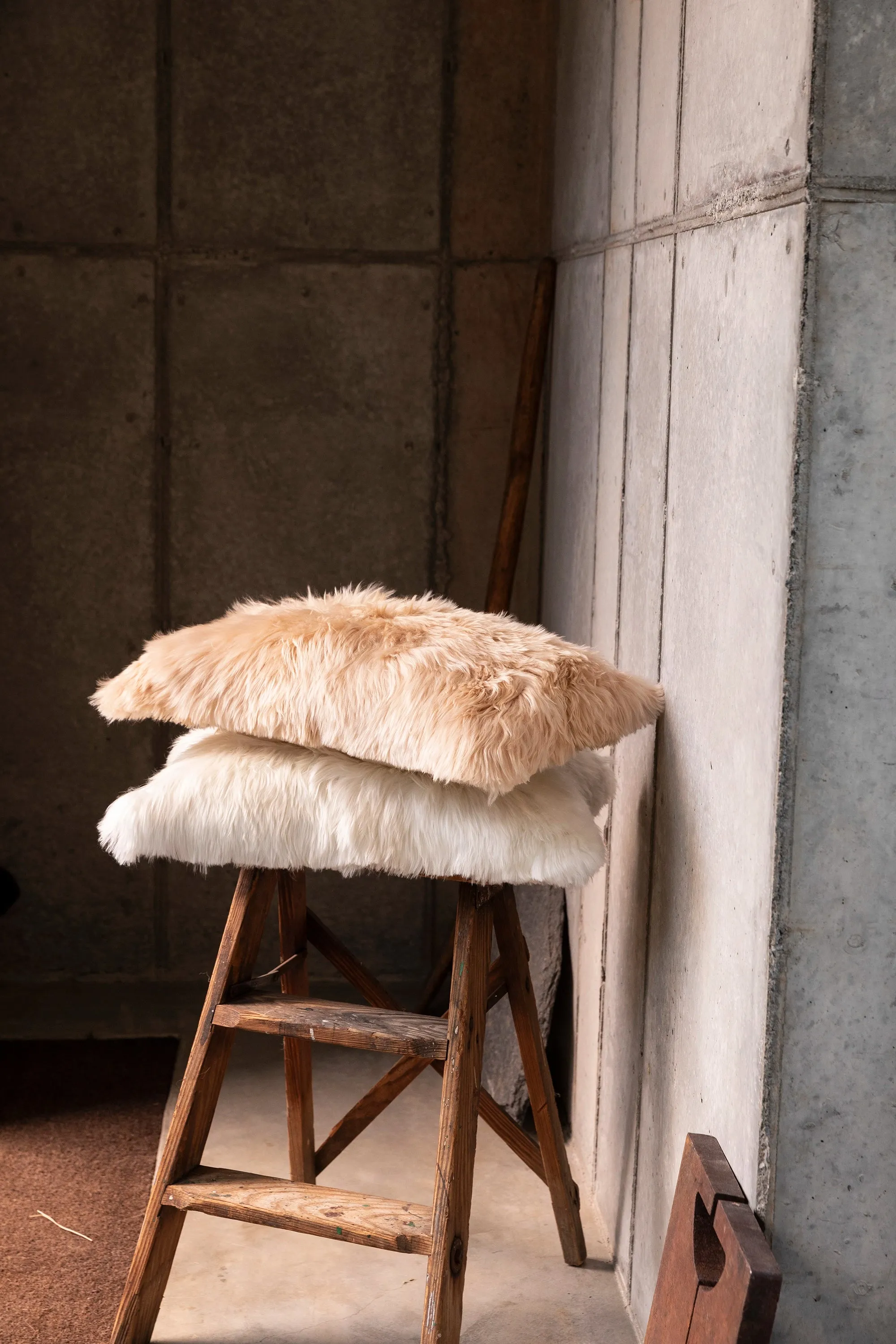 Alpaca Suri Lumbar Champagne