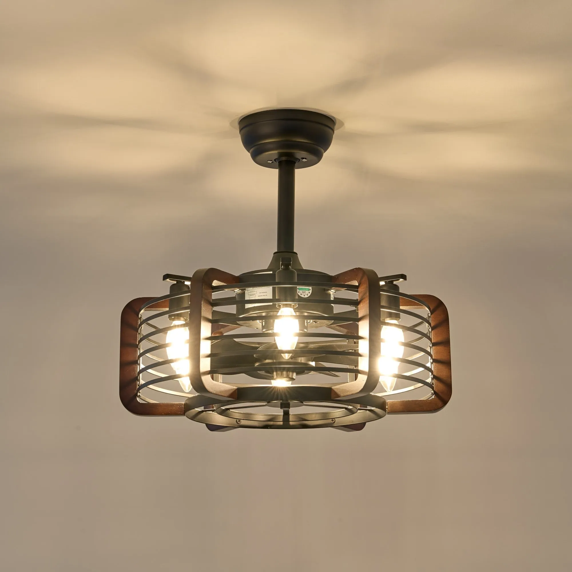 Caged Ceiling Fans With 6 Led Lights