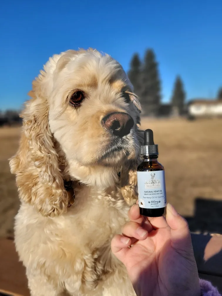 CBD Oil for Dogs