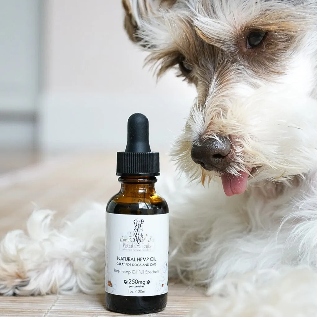 CBD Oil for Dogs