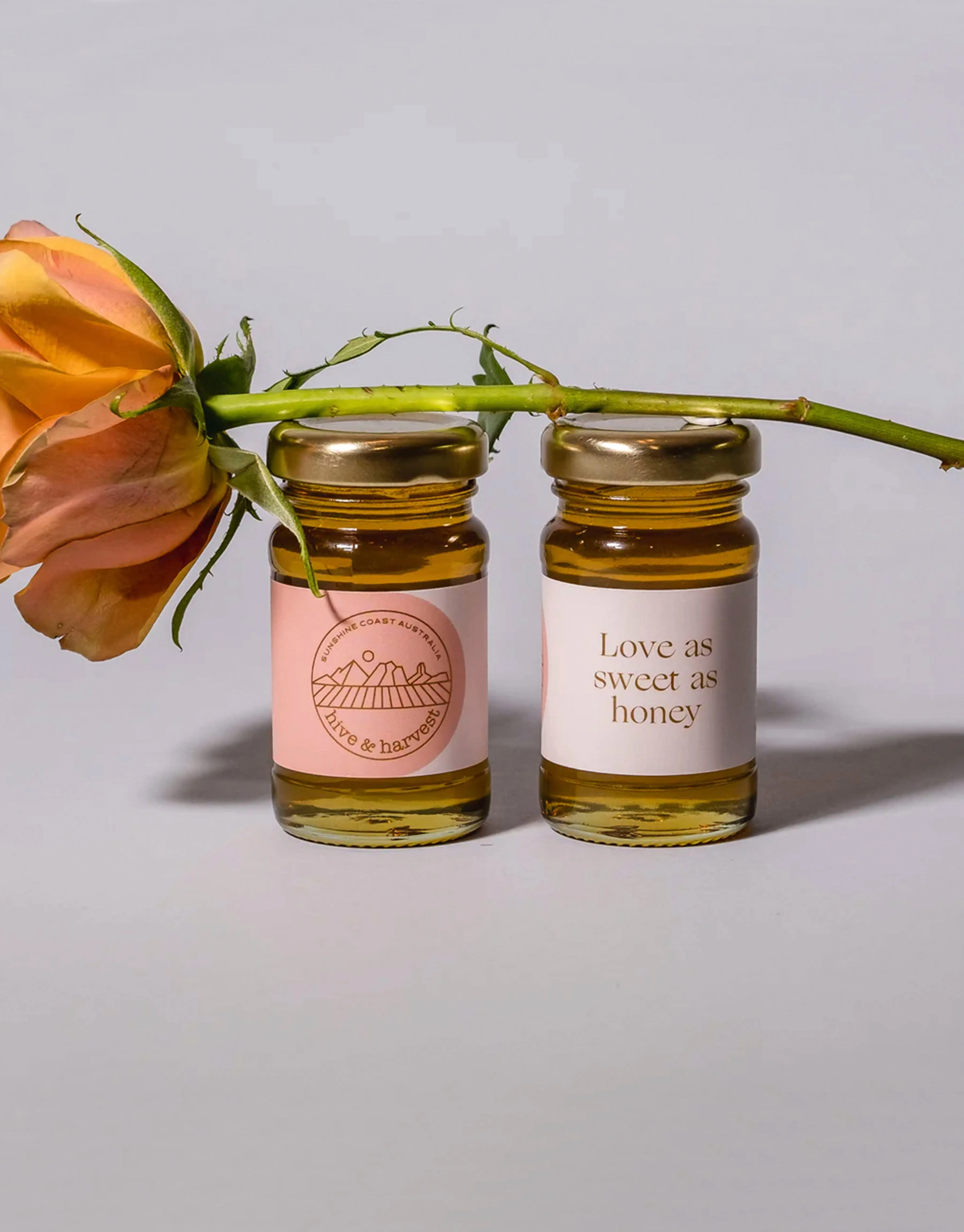 Celestial Tea Time Box | Curated Gift Box