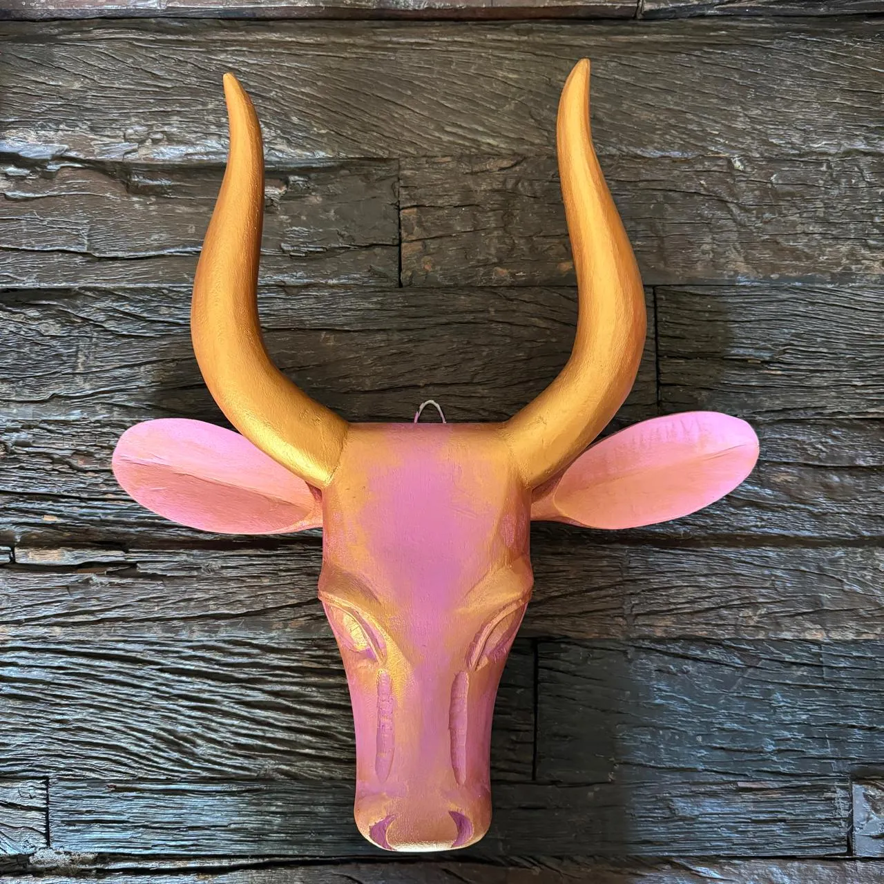 Cow Head : Gauri 6