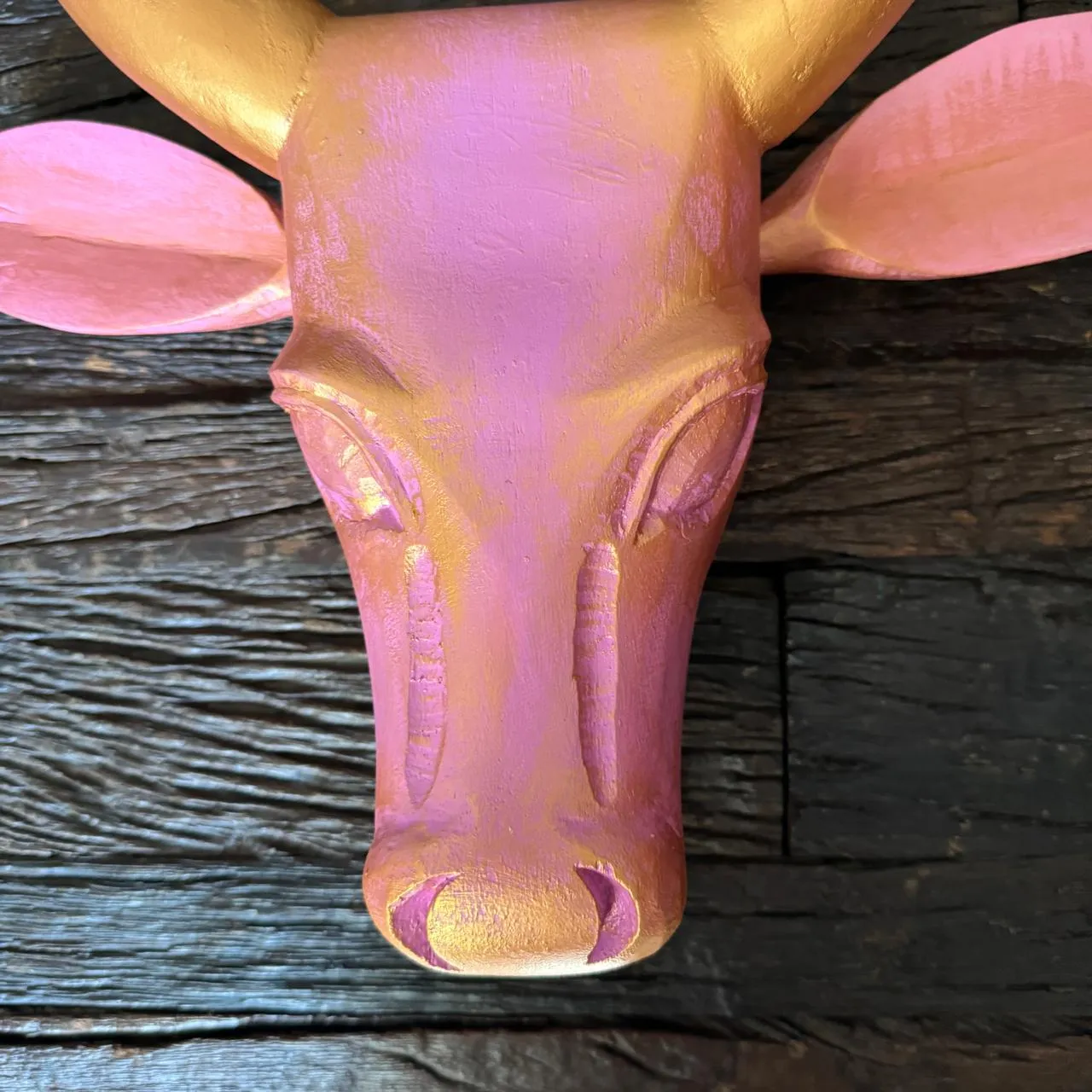 Cow Head : Gauri 6