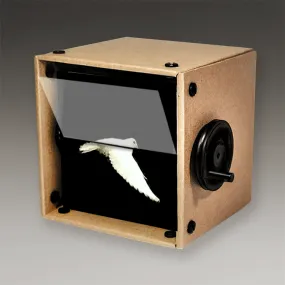 Dove in Flight Fliposcope