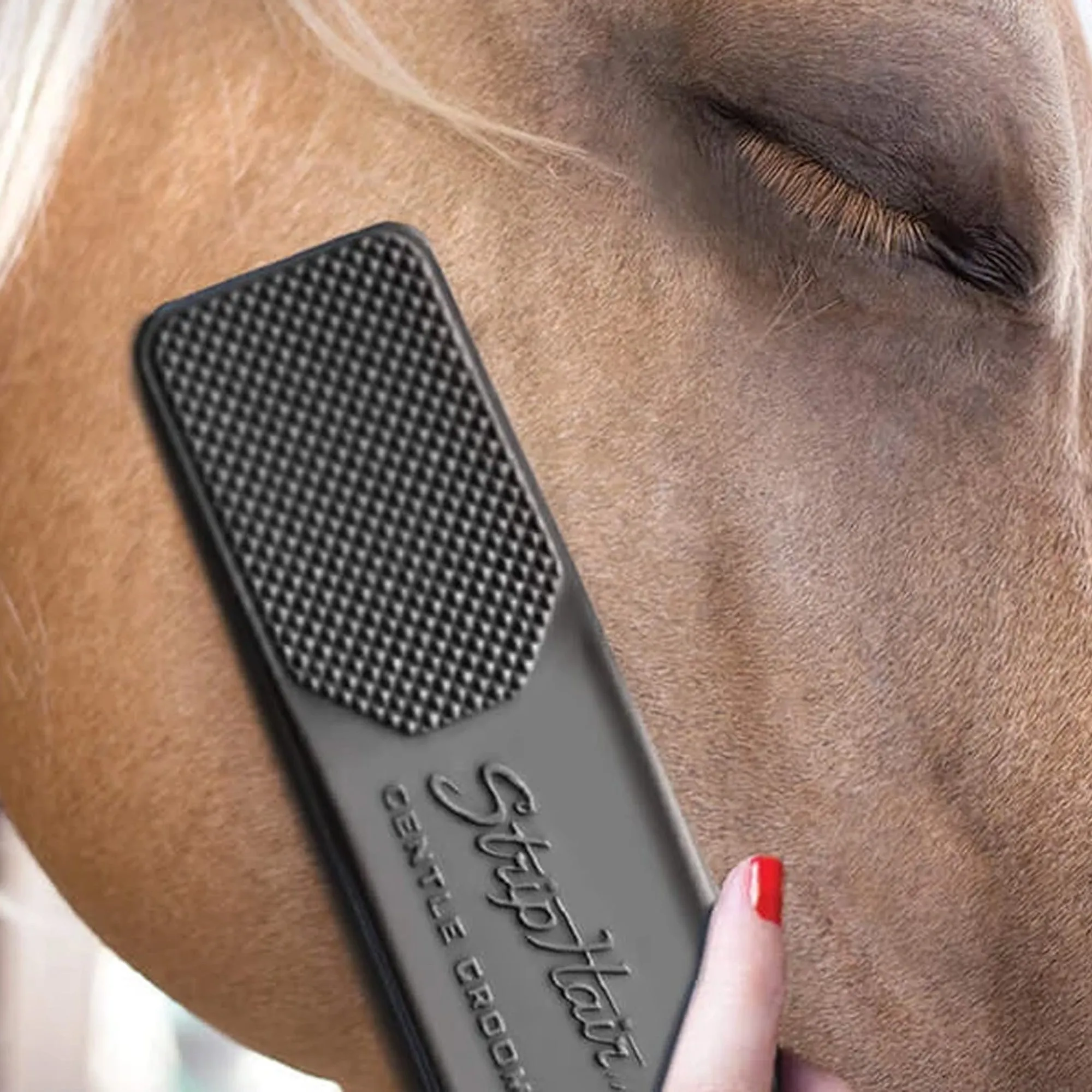 Horse Striphair Gentle Groomer