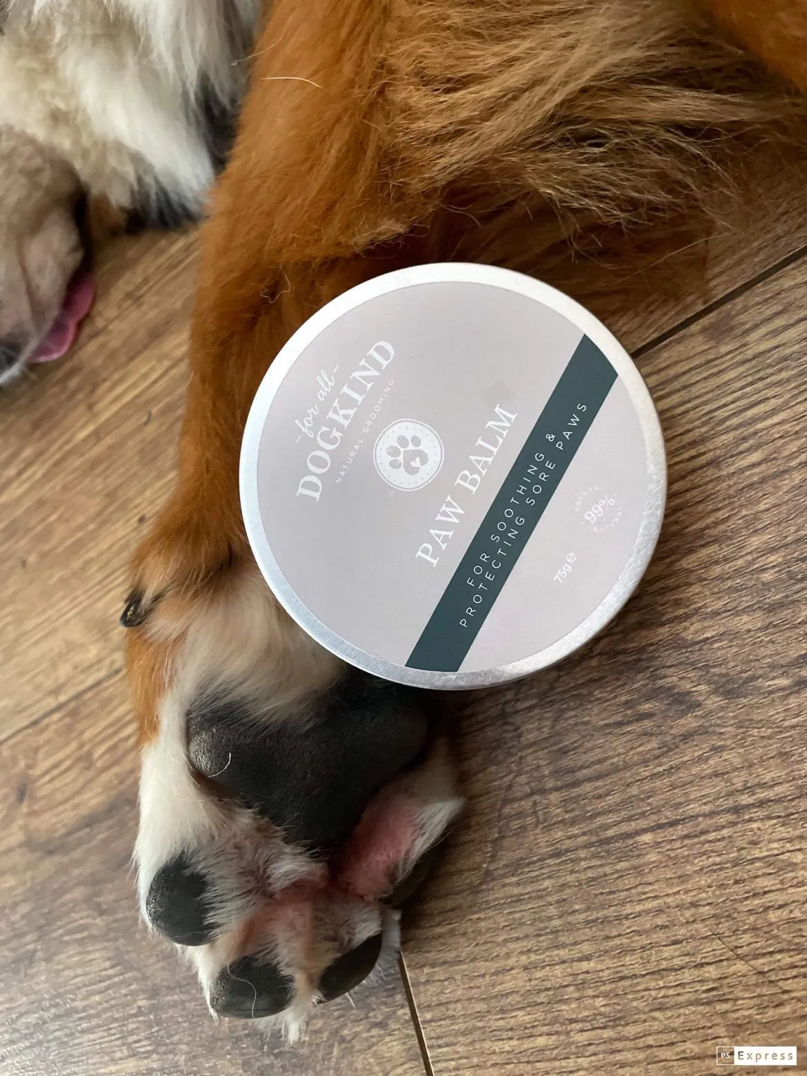 Paw Balm 75g - TRADE