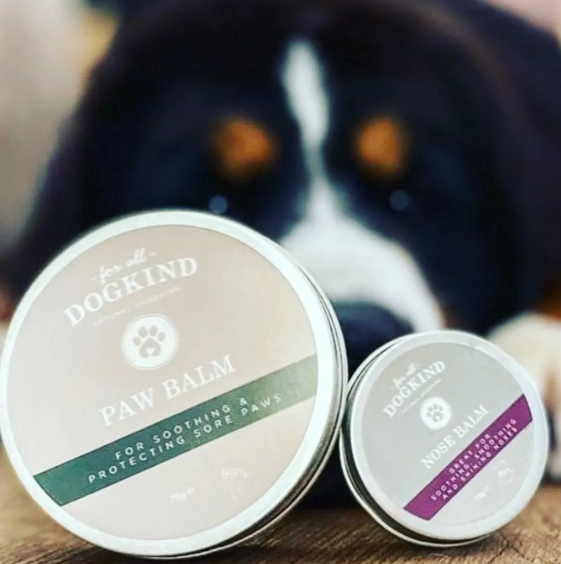 Paw Balm 75g - TRADE
