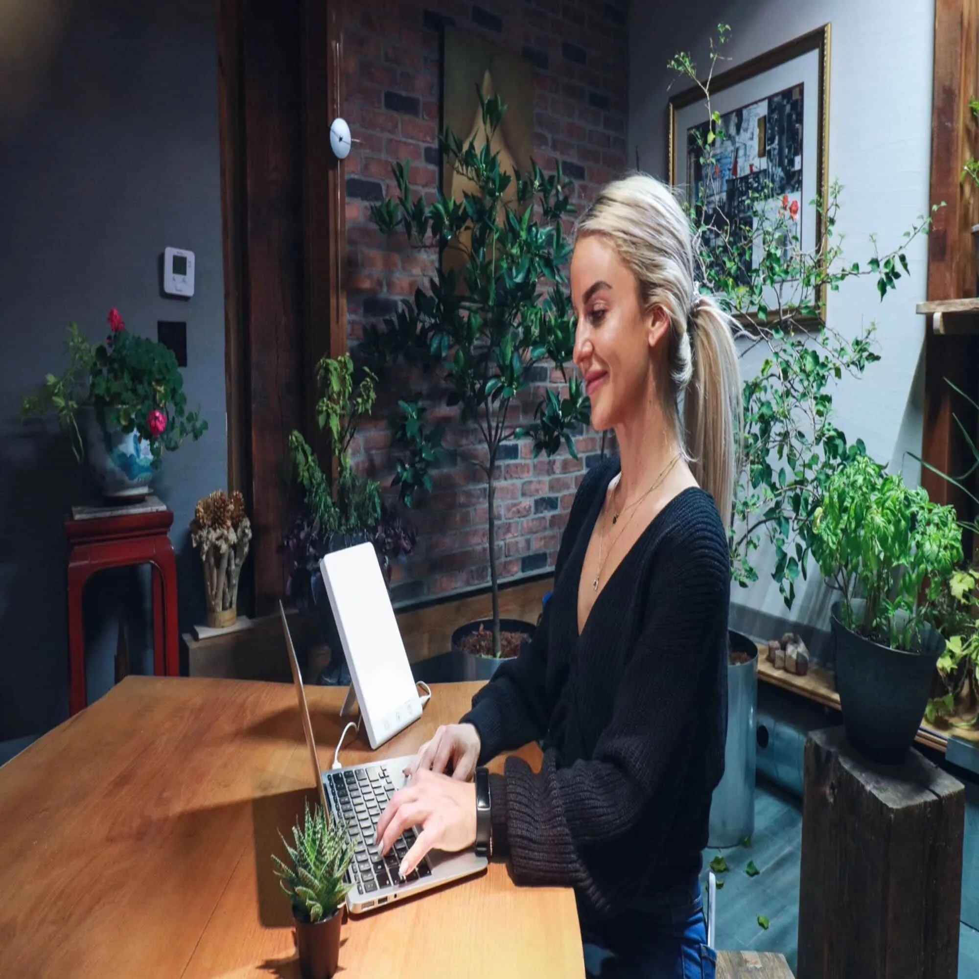 The Sun 365 Light Therapy Lamp