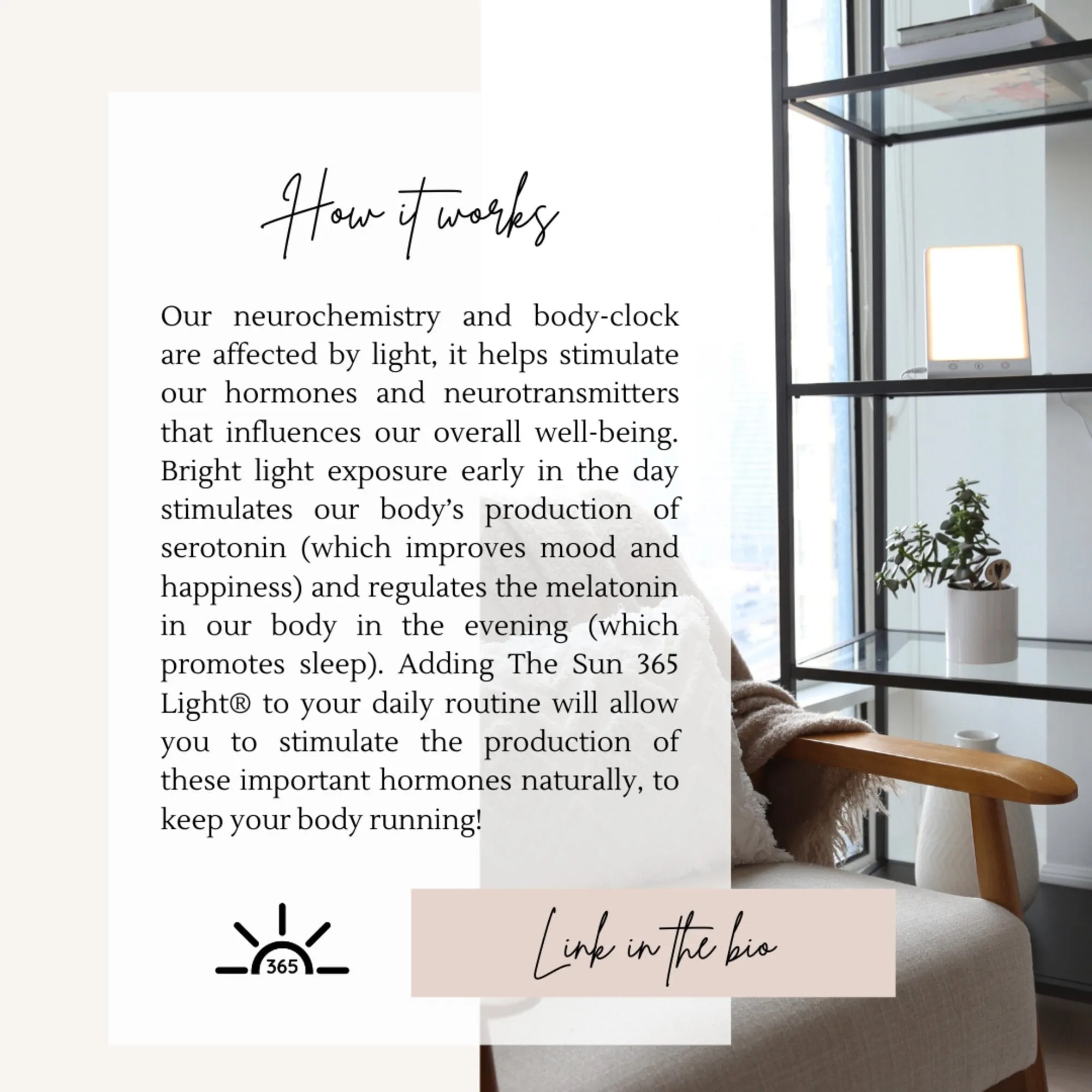 The Sun 365 Light Therapy Lamp