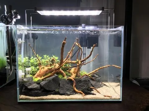 Twinstar II C-Series Planted LED Strip