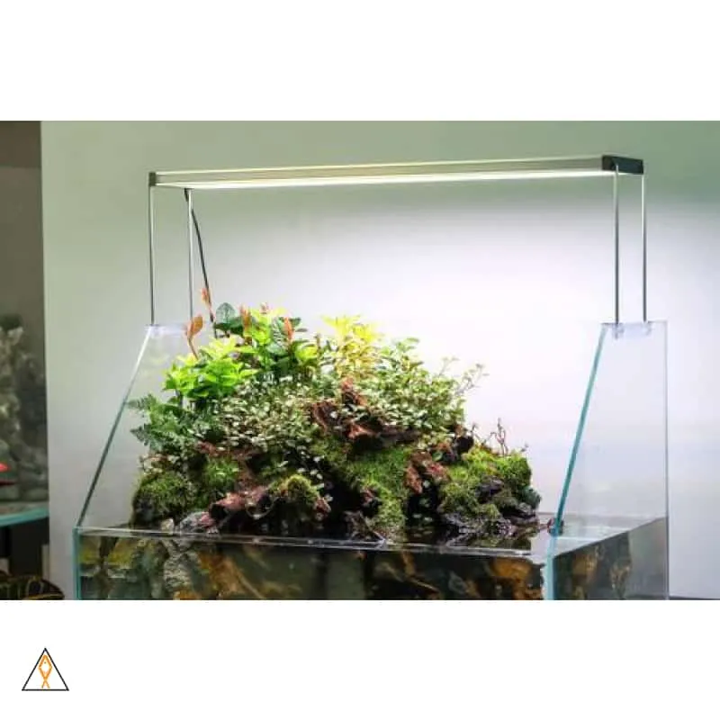 Twinstar II E-Series Planted LED Strip