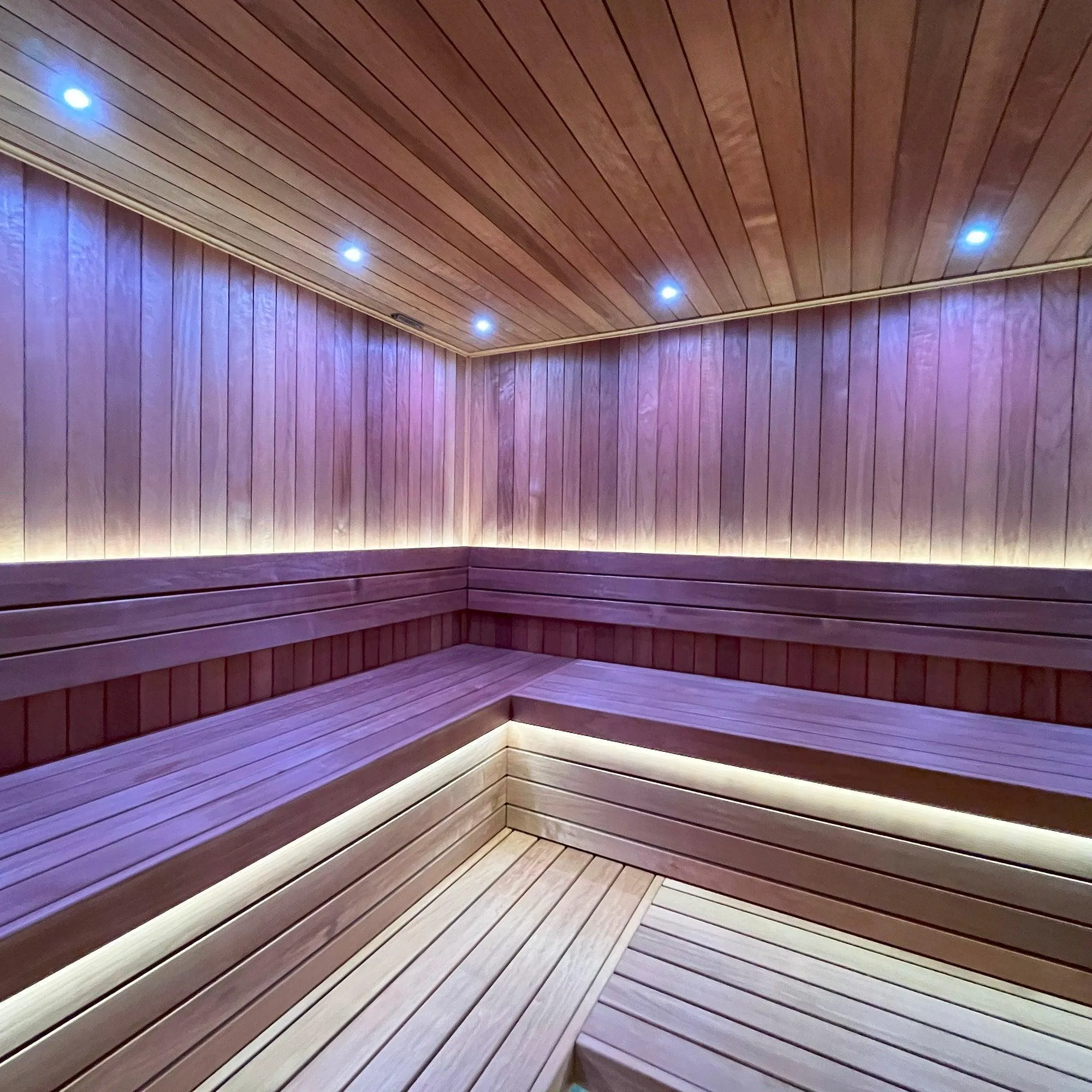 Universal Sauna Light Kit with Two 10-Ft Flexible LED Strips