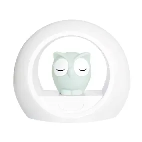 Zazu Nightlight - Lou the Owl