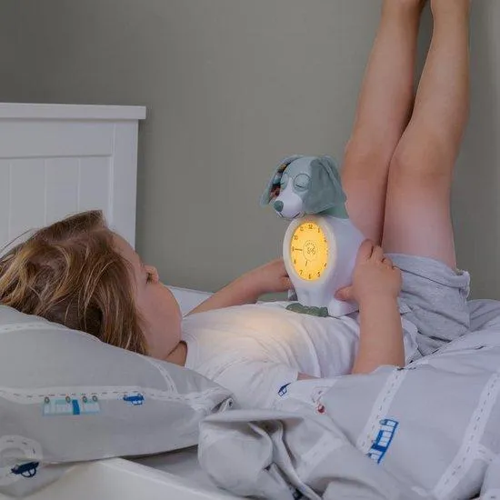 Zazu Sleeping trainer Davy the Dog | little finger